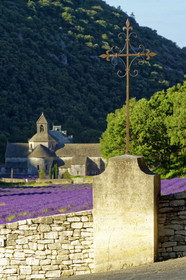 France, Senanque