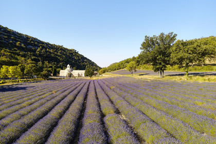 France, Senanque