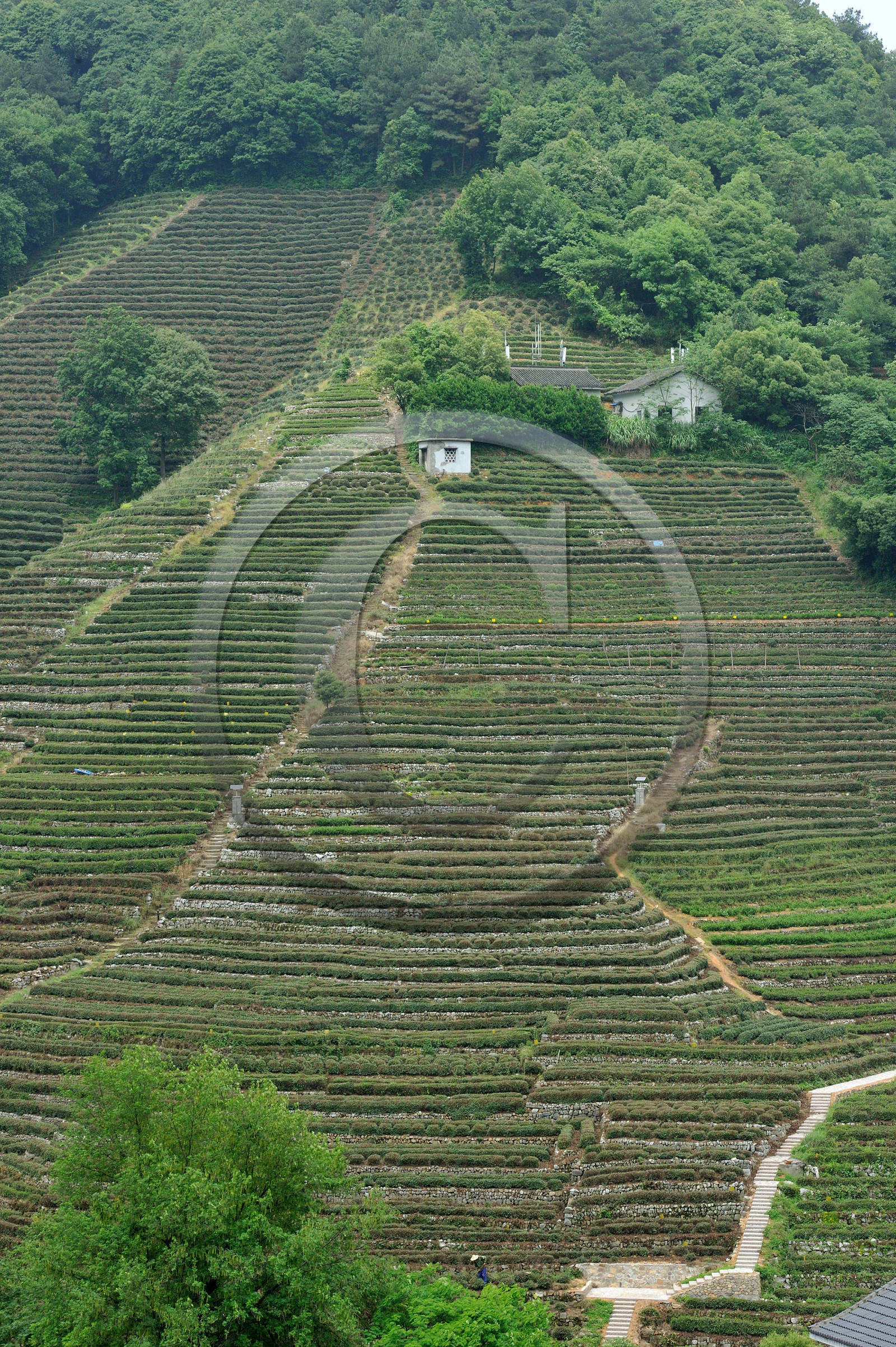 Chine, Hangzhou