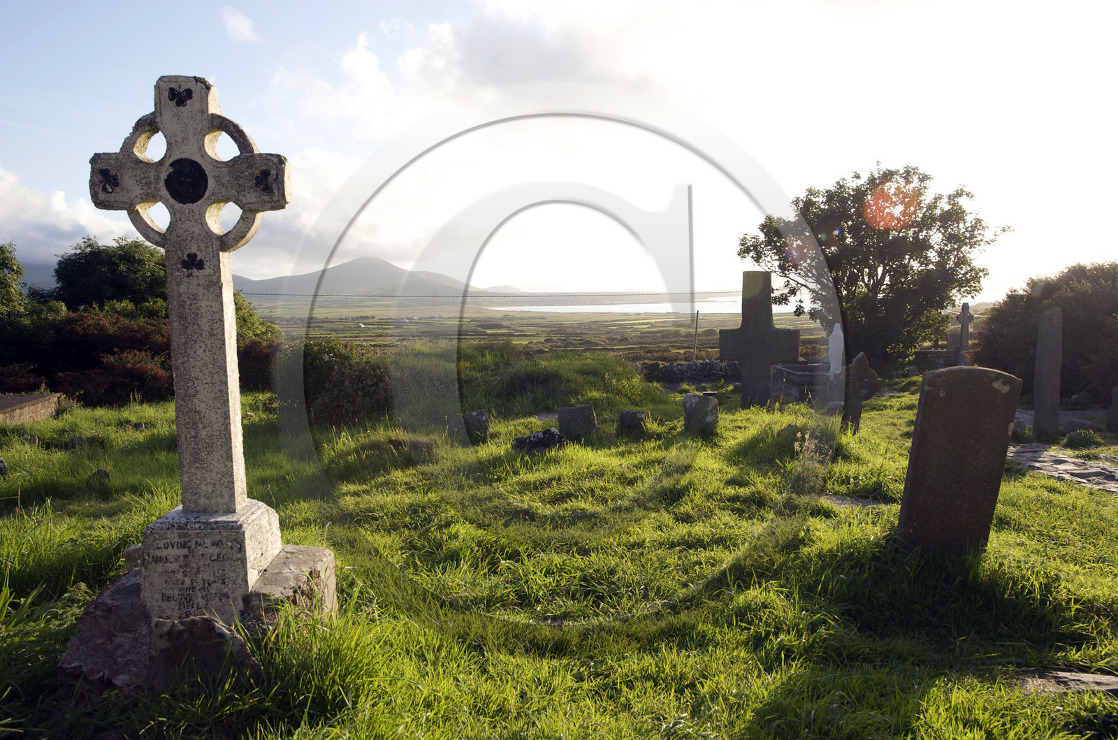 Irlande, Dingle