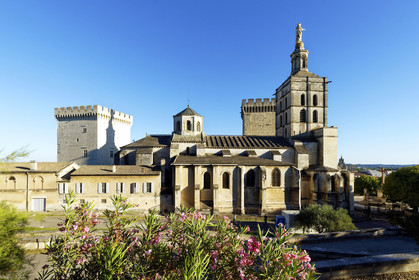 France, Avignon
