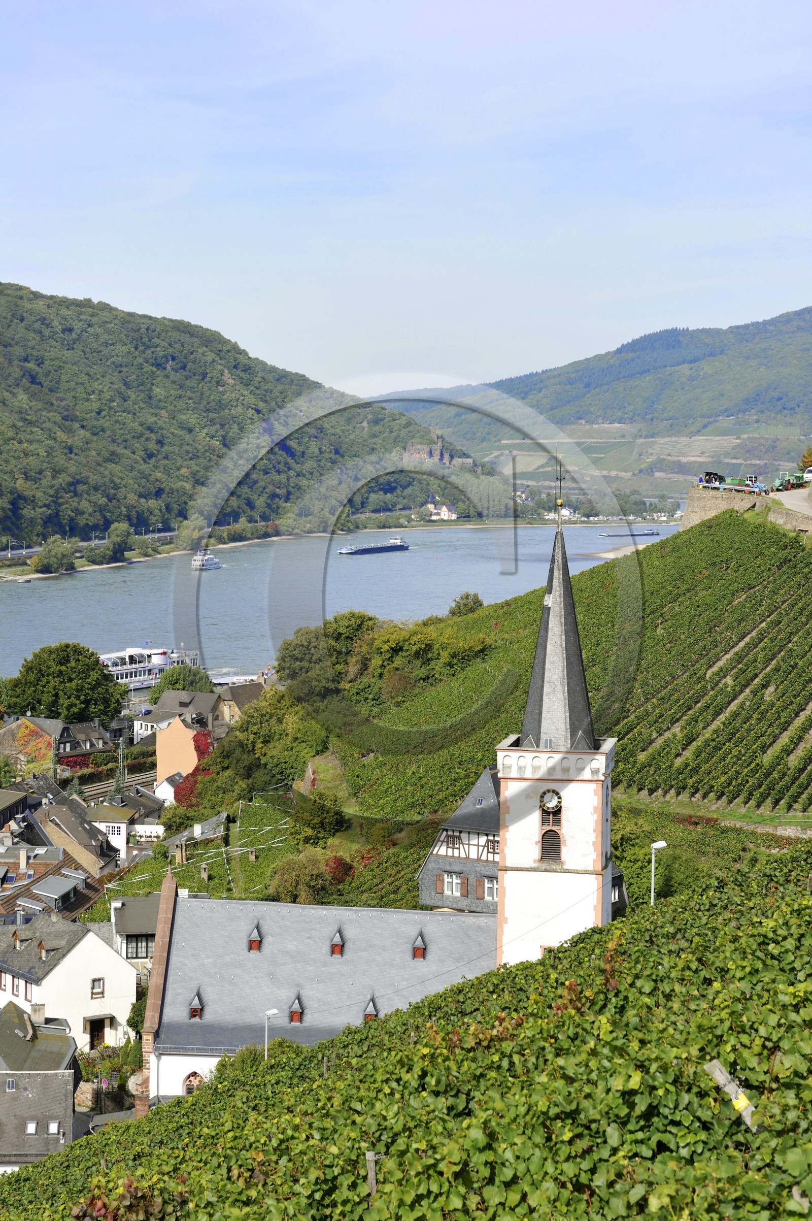 Allemangne, Rhin