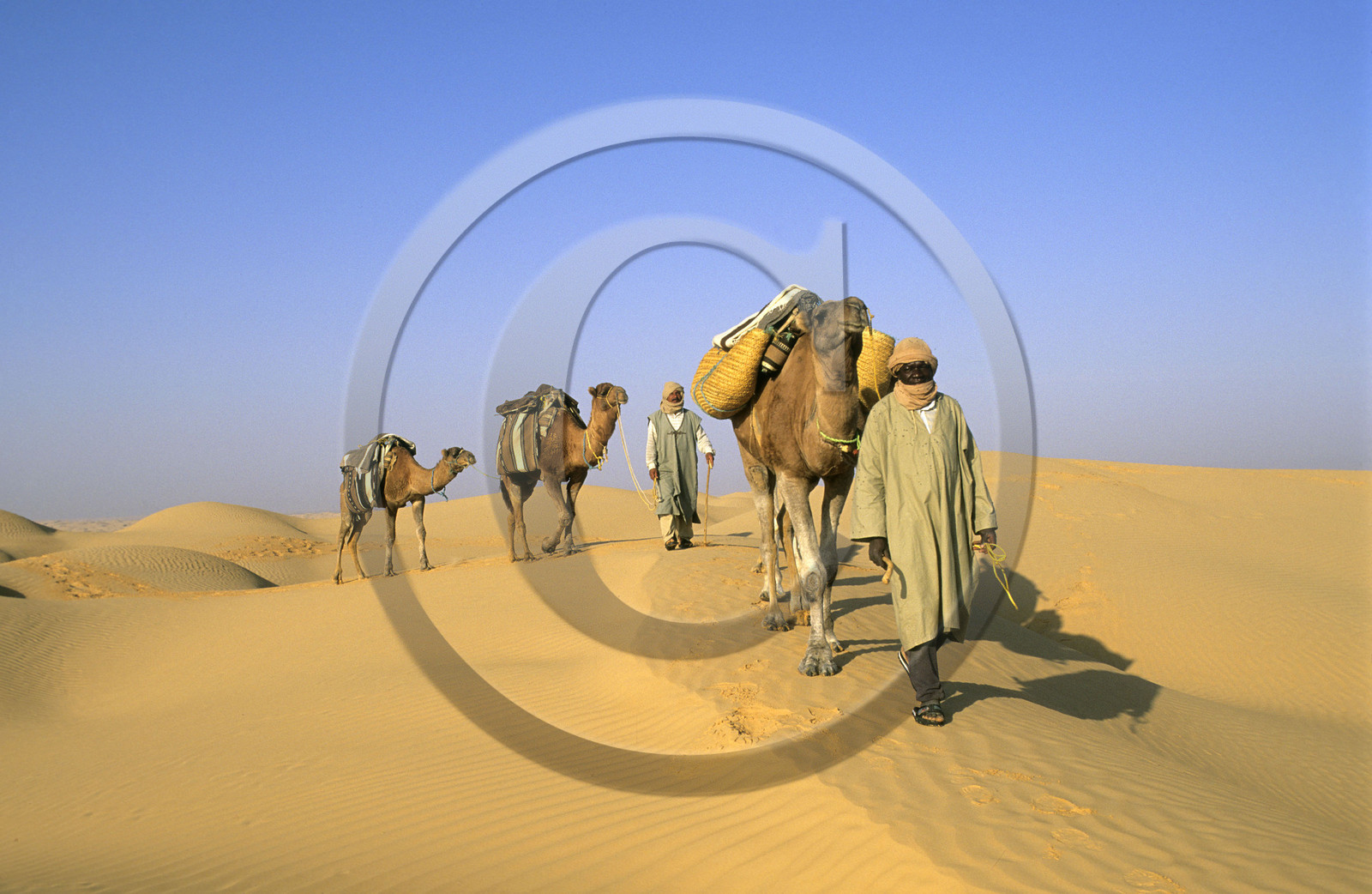 Erg Oriental, Tunise