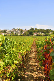 France, Monthélie