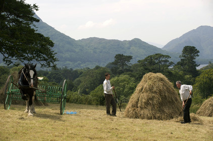 Irlande, Killarney