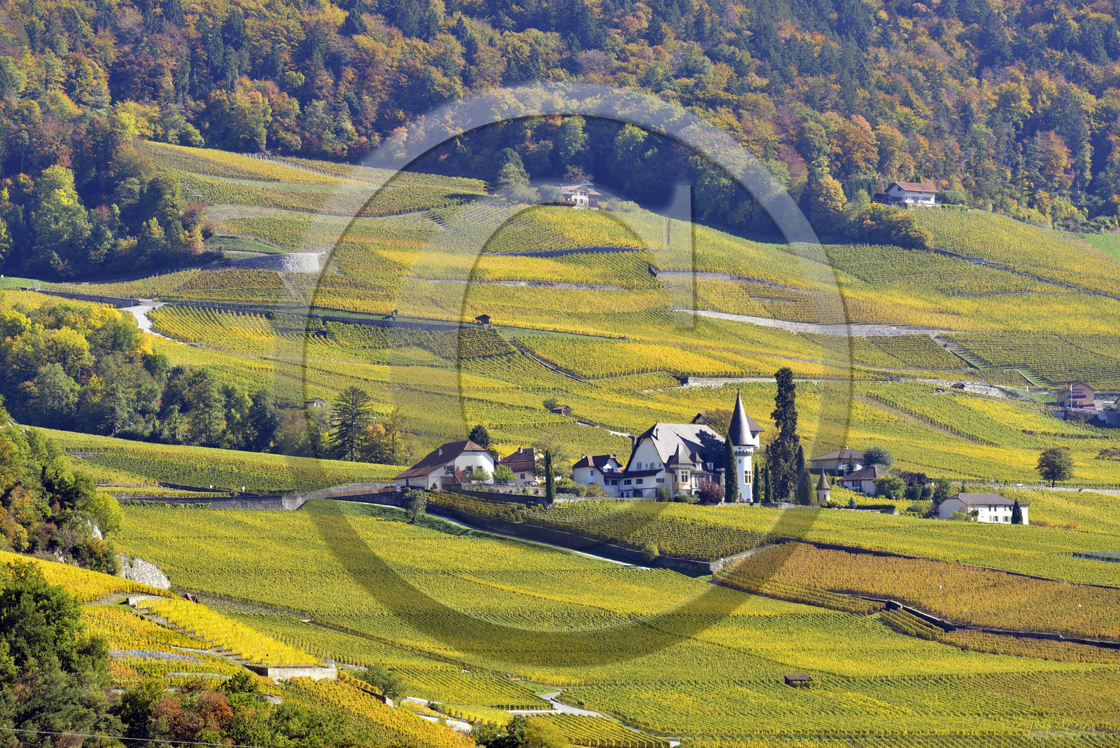 Suisse, Yvorne
