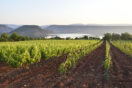 France, Moureze