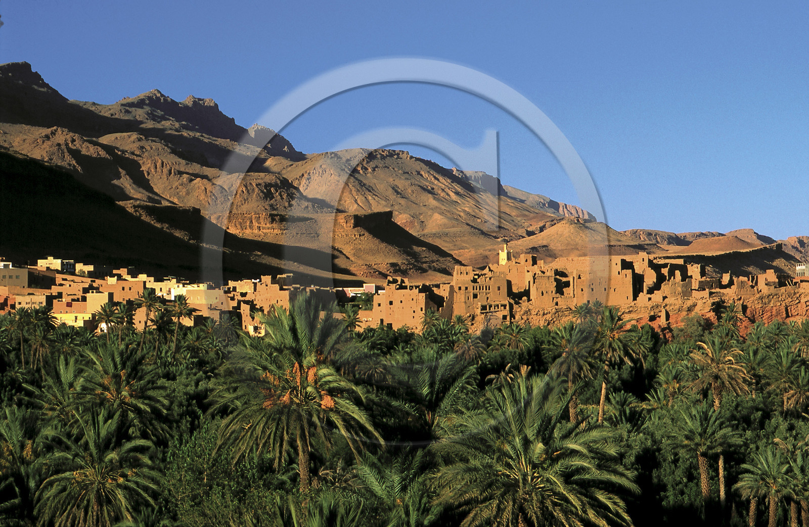 MAROC