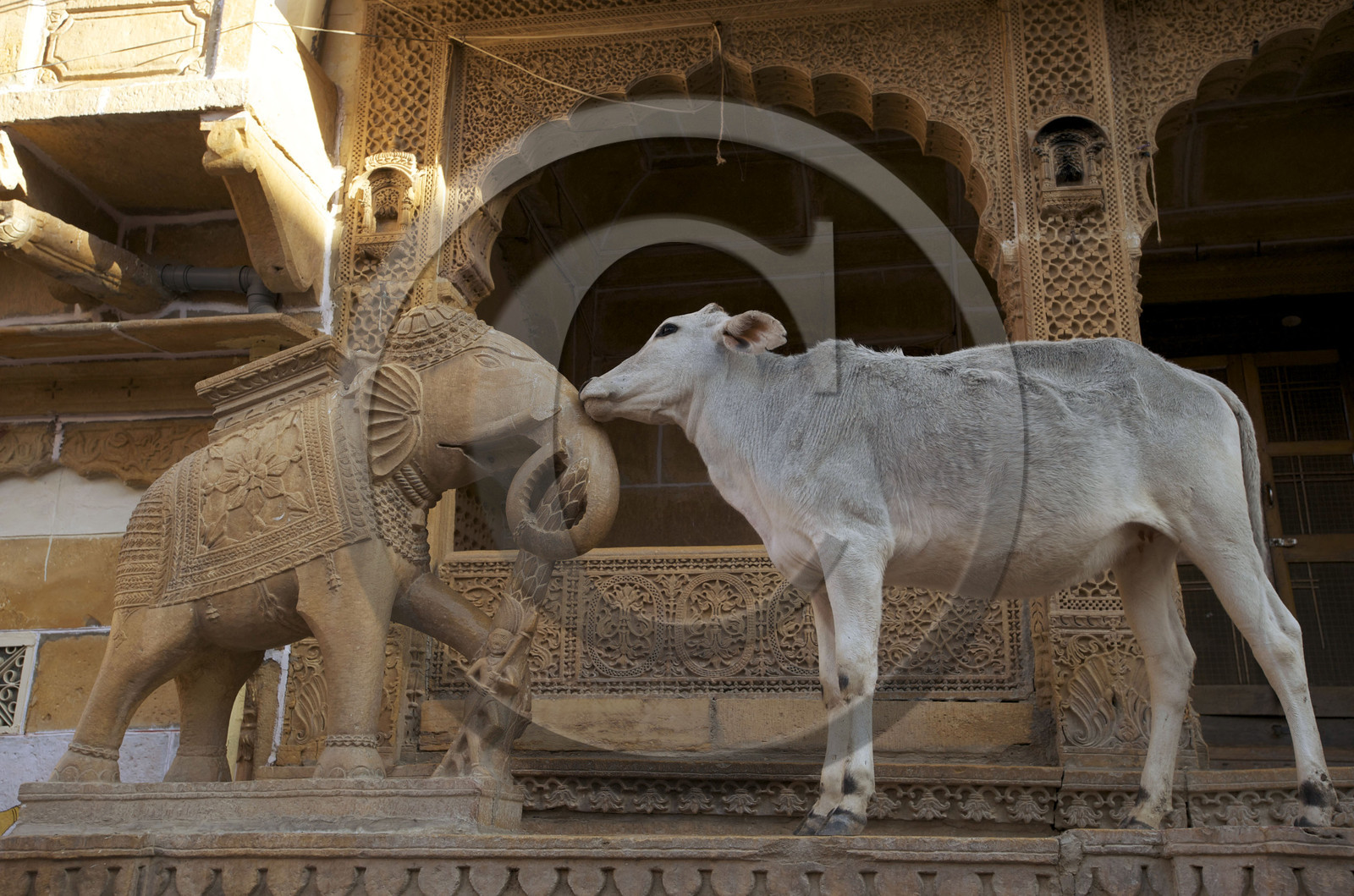 Inde, Jaisalmer