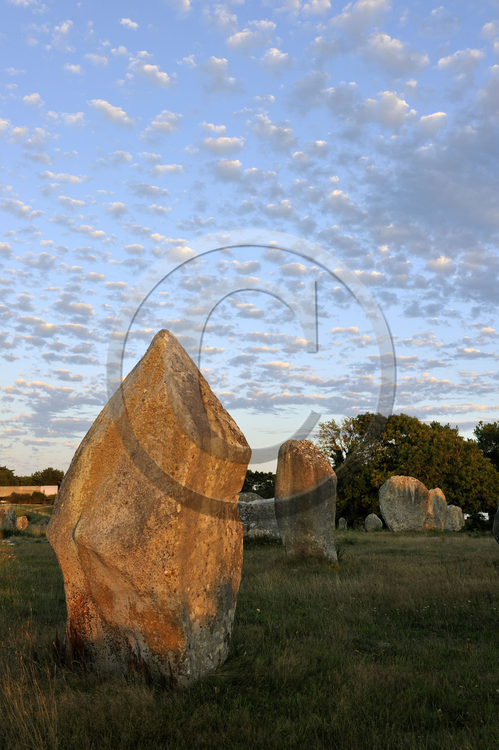 France, Carnac