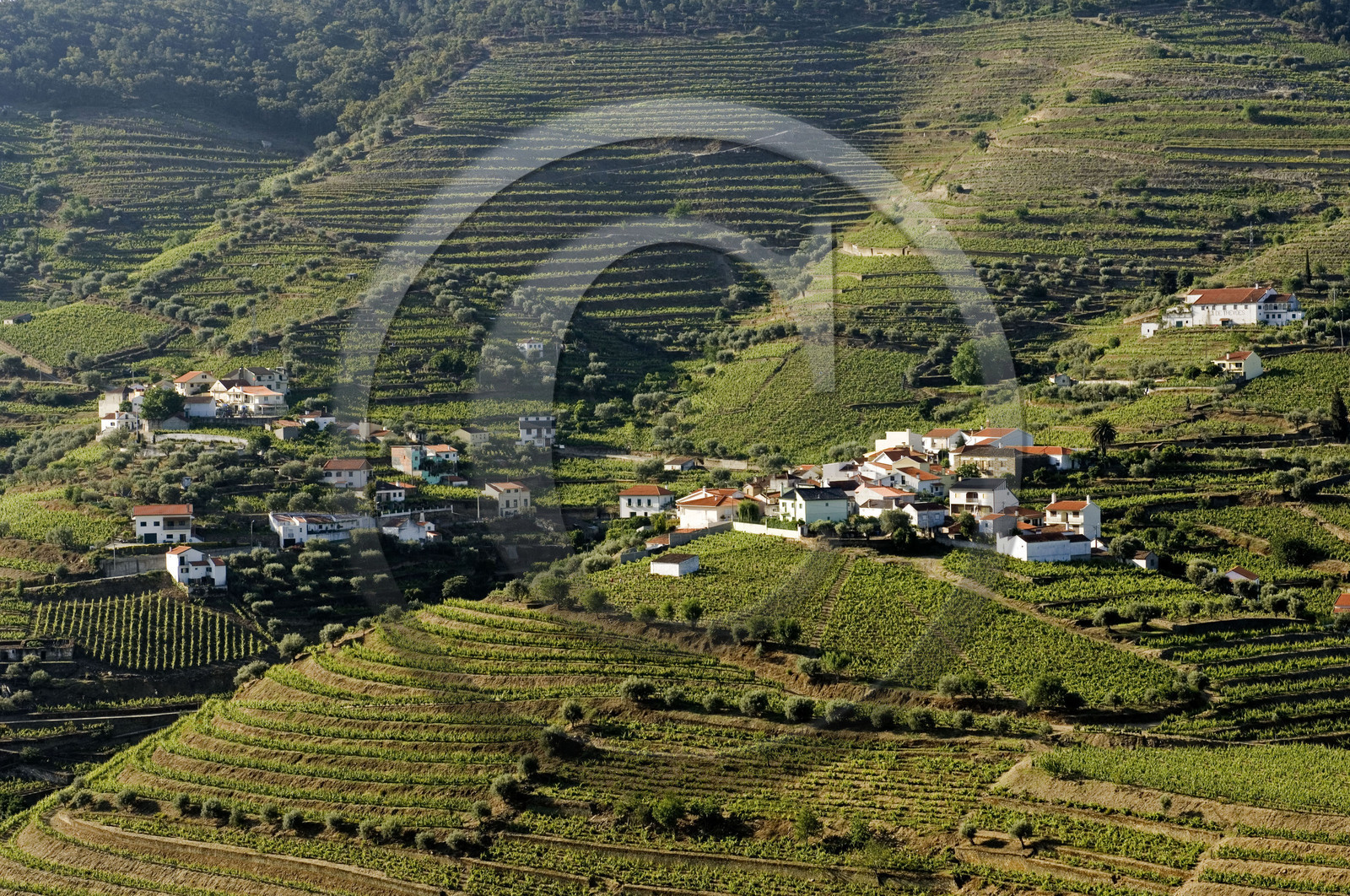 Douro, Portugal