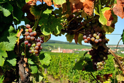 France, Alsace