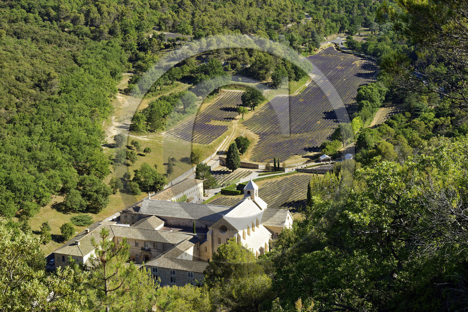 France, Senanque
