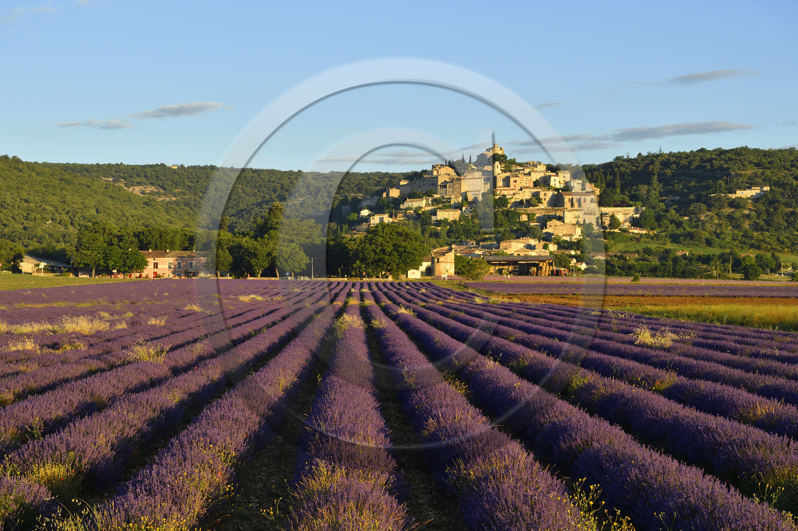 France, Simiane la Rotonde
