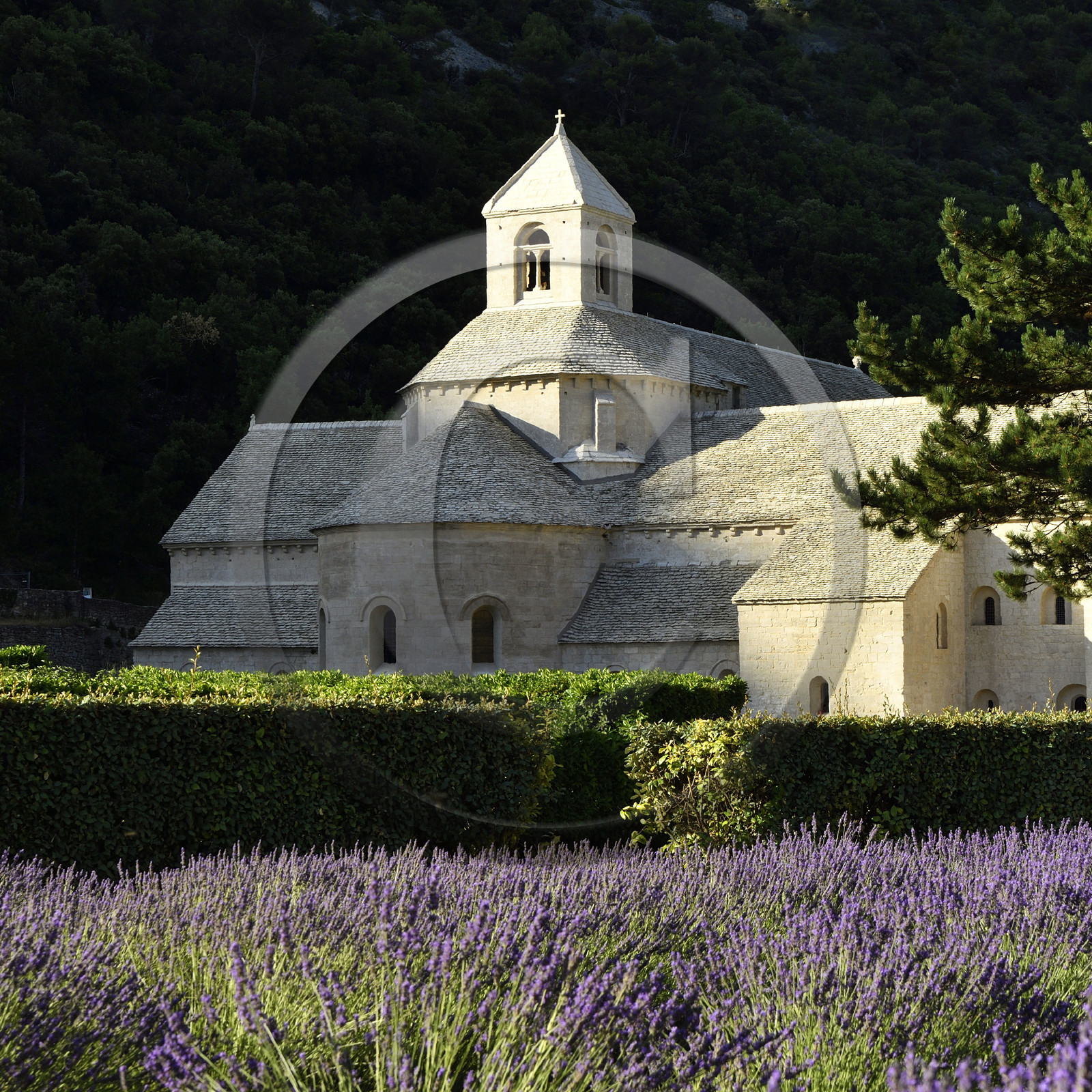France, Senanque