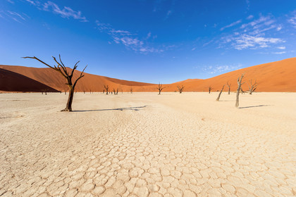 Namibie, Sossusvlei