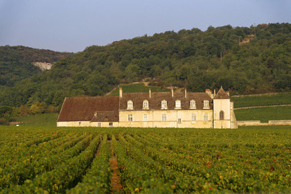 France, Vougeot