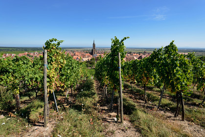 France, Alsace