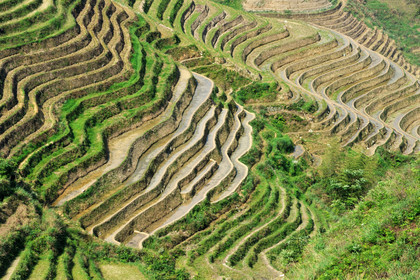 Chine, Longsheng