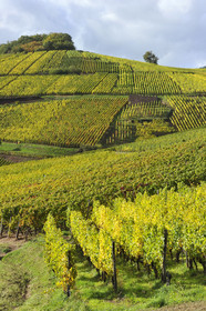 France, Alsace