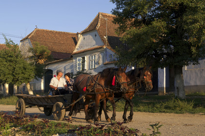 Roumanie, Viscri