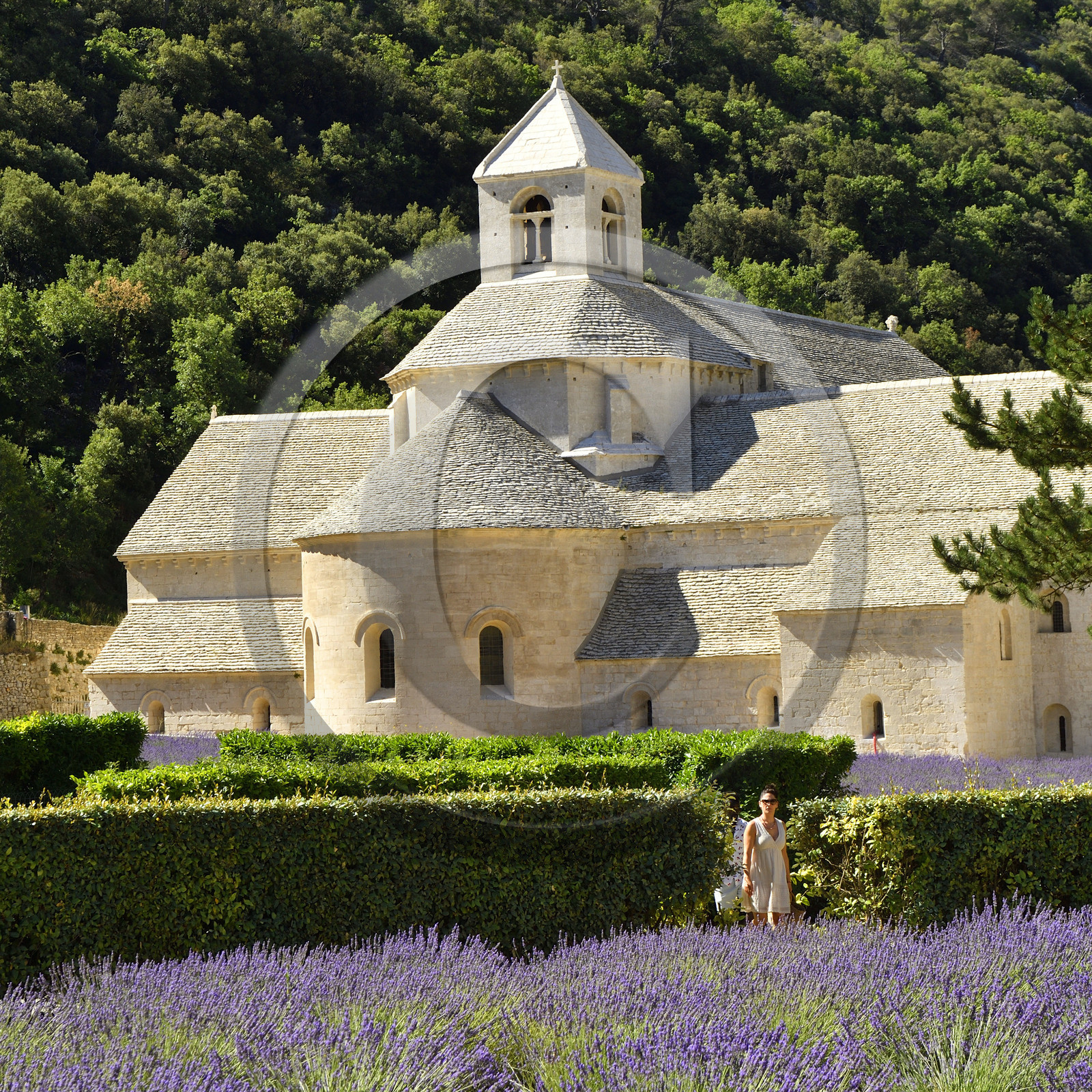 France, Senanque