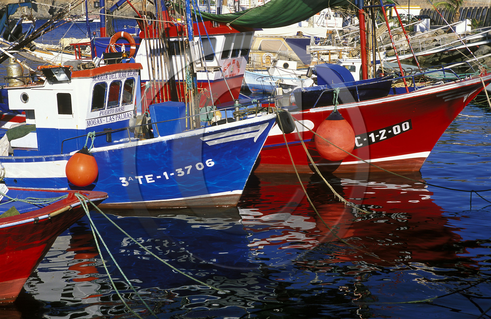 Canaries. Espagne