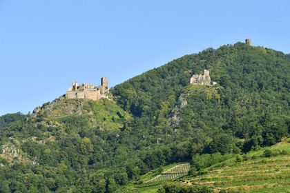 France,  Ribeauville