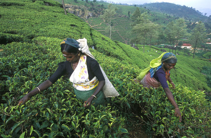SRI LANKA