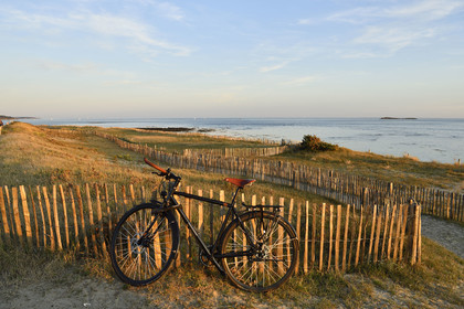 France, Locmariaquer