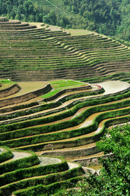 Chine, Longsheng