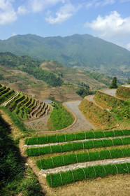 Chine, Longsheng