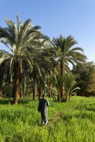 Egypte, Nil