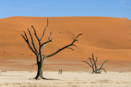 Namibie, Sossusvlei
