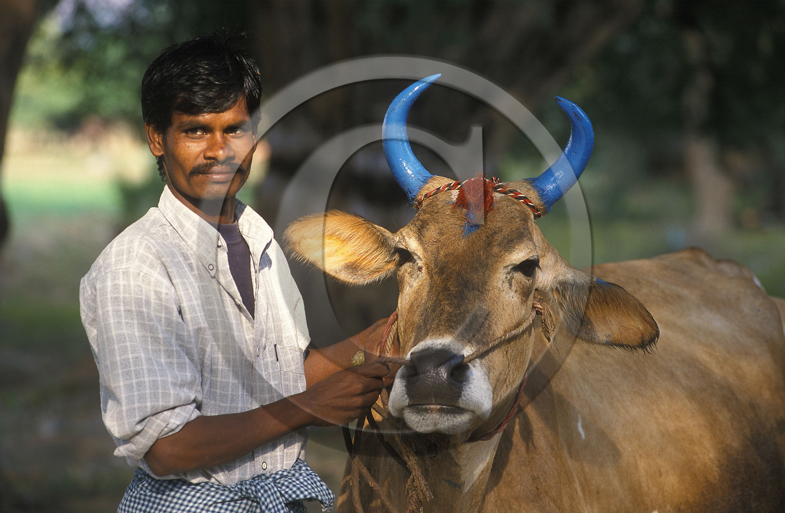 Inde du Sud