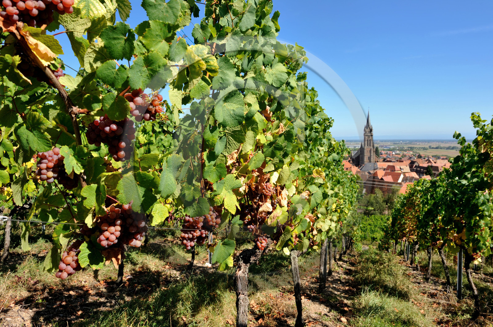 France, Alsace