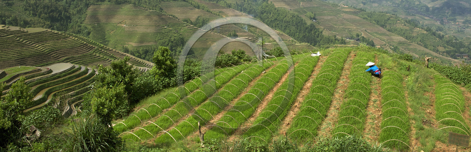 Chine, Longsheng