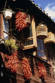 PIMENTS.CHINE