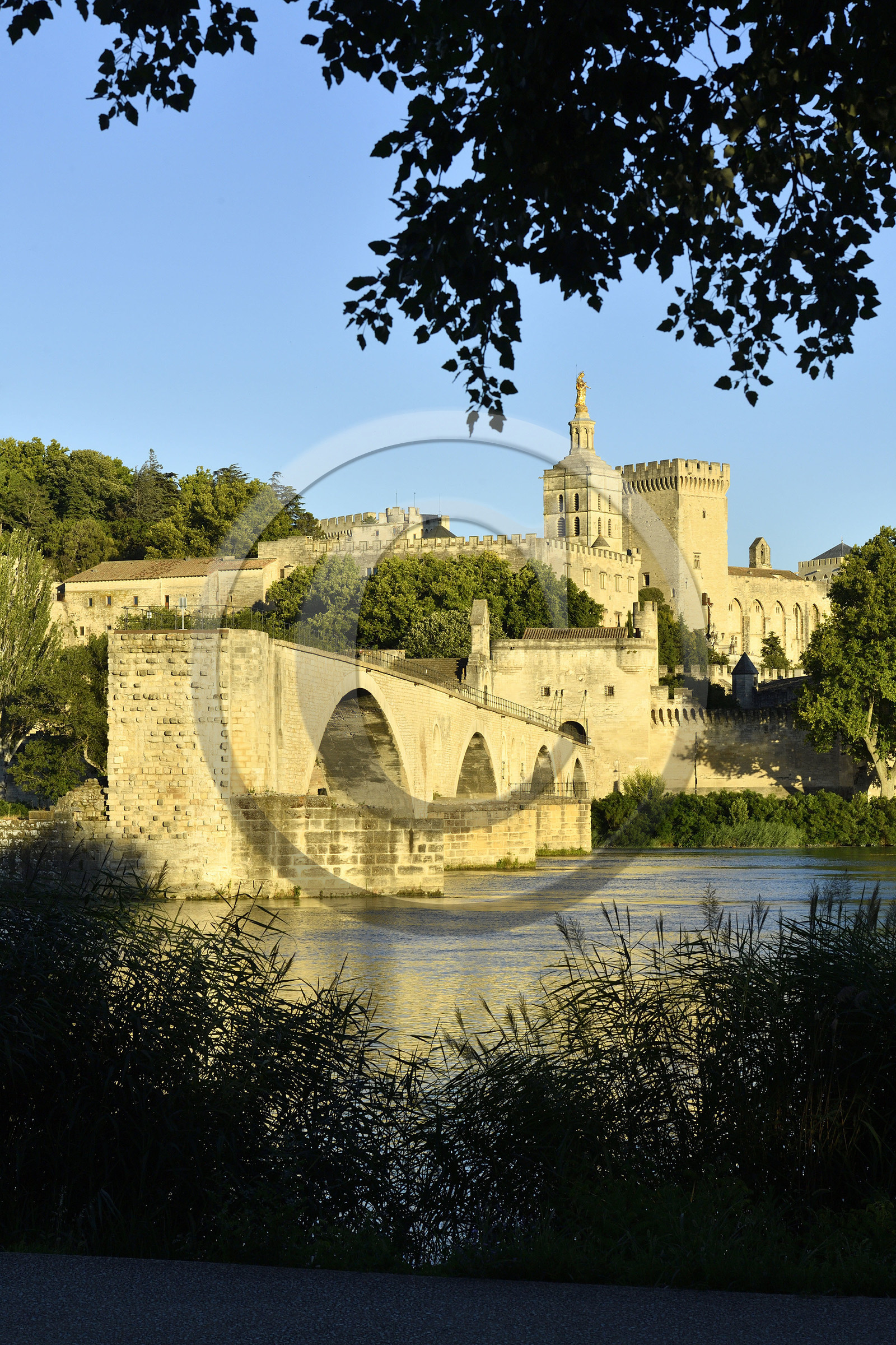 France, Avignon