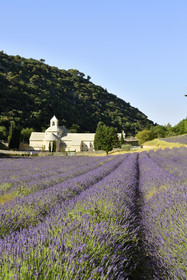 France, Senanque