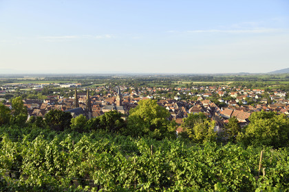 France, Obernai