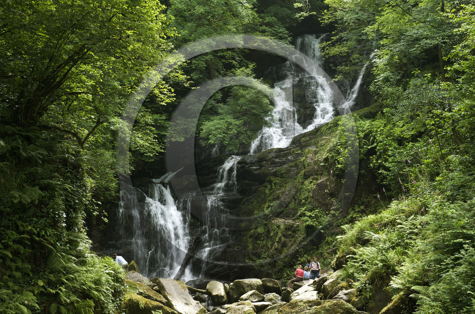Irlande, Killarney