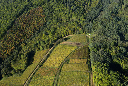 France, Alsace