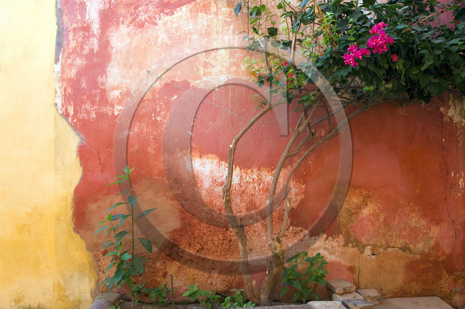 Gorée, Sénégal