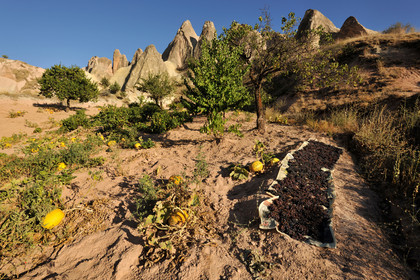 Turquie, Cappadoce