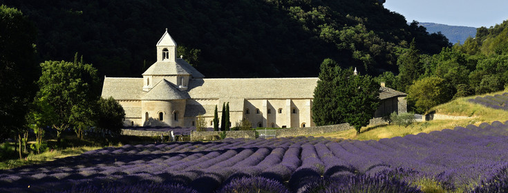 France, Senanque