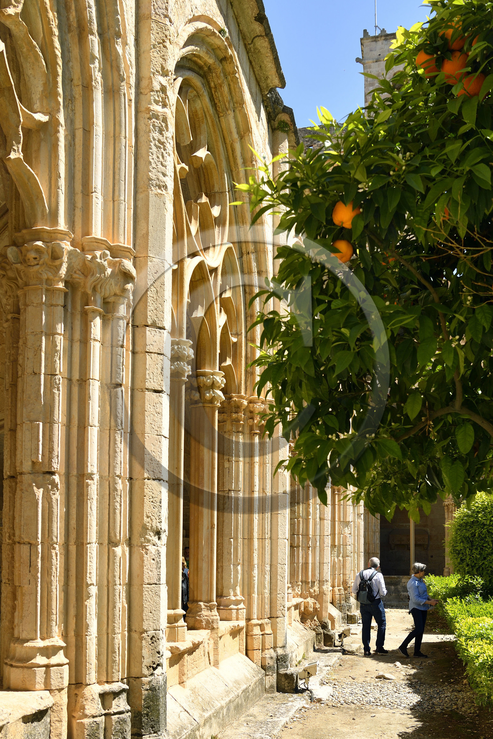 Espagne, Santes Creus