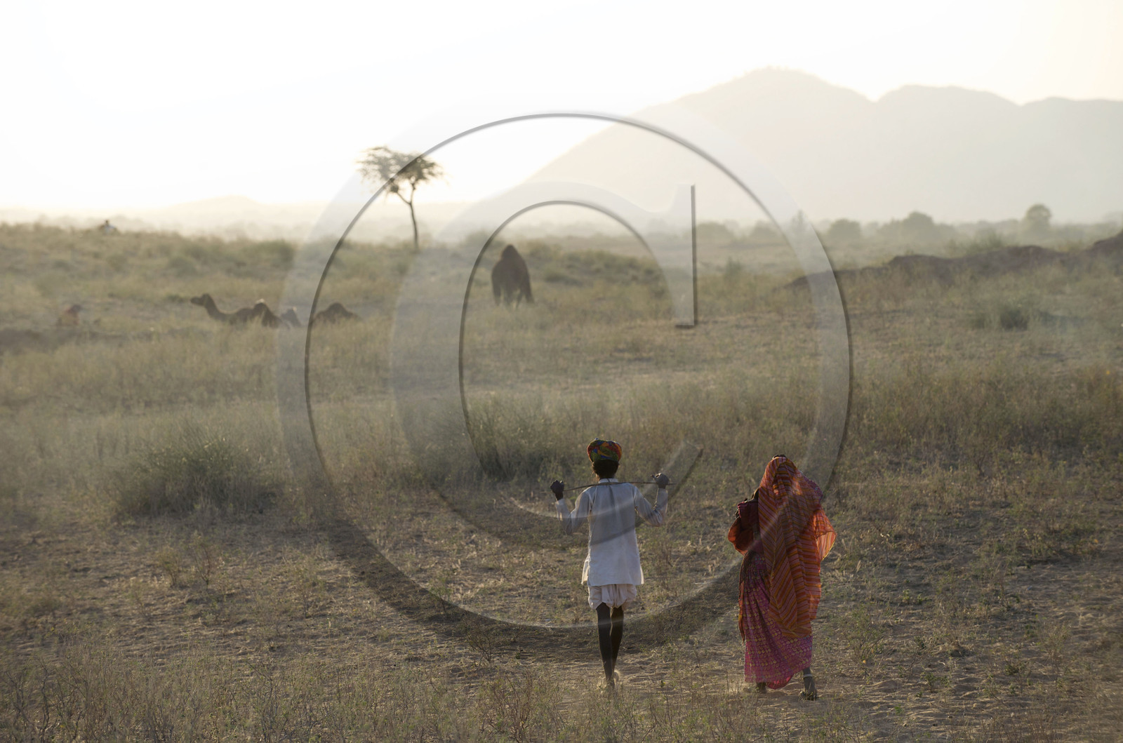 Inde, Pushkar
