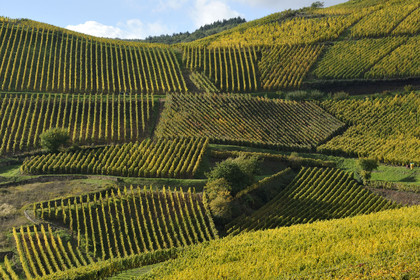 France, Alsace