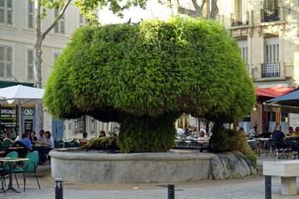 France, Salon de Provence